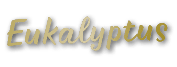 Eukalyptus 