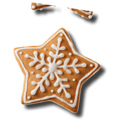 Set of christmas homemade gingerbread cookies isolated on the white background